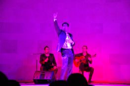 Espectculo Simplemente Flamenco